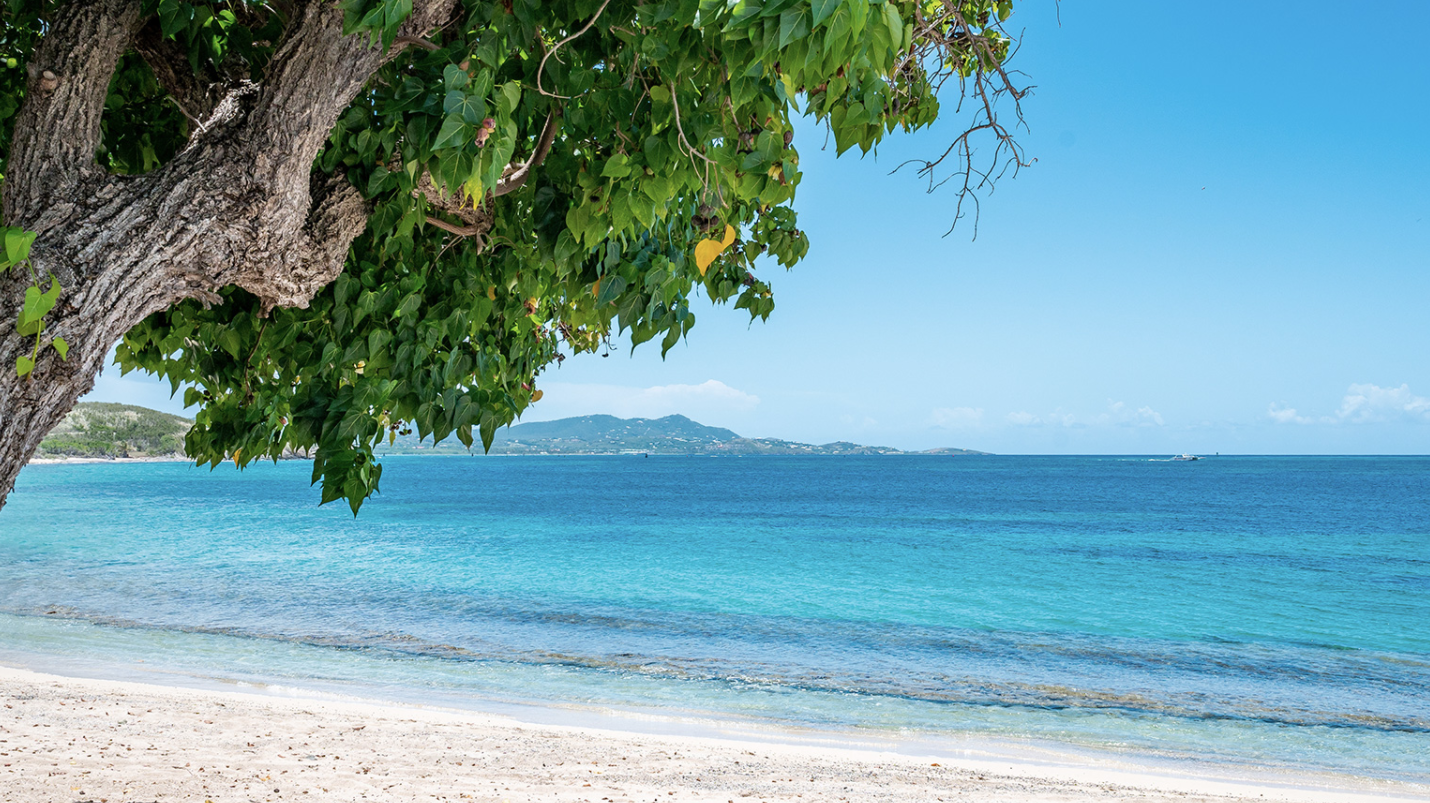 BEHIND YOU! - ZOOM IN...