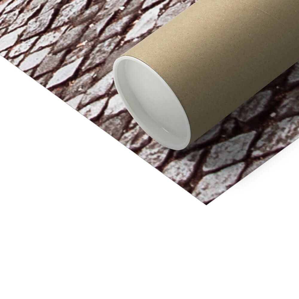 Prodigi Fine art Lisbon Alfama Tram Fine Art Print