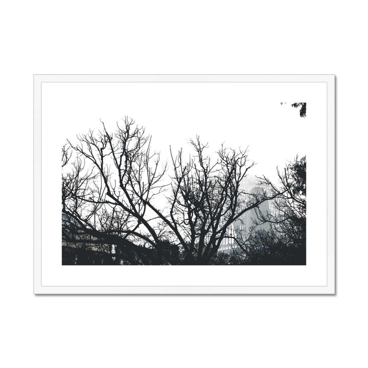 Seek & Ramble Framed 28"x20" / White Frame Sydney Harbour Bridge Through Trees Framed & Mounted Print