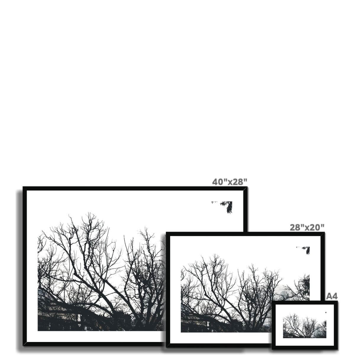 Seek & Ramble Framed Sydney Harbour Bridge Through Trees Framed & Mounted Print