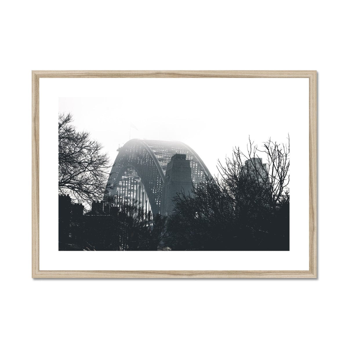 Adam Davies Framed 28"x20" / Natural Frame Sydney Harbour Bridge Through Trees Monochrome Framed & Mounted Print