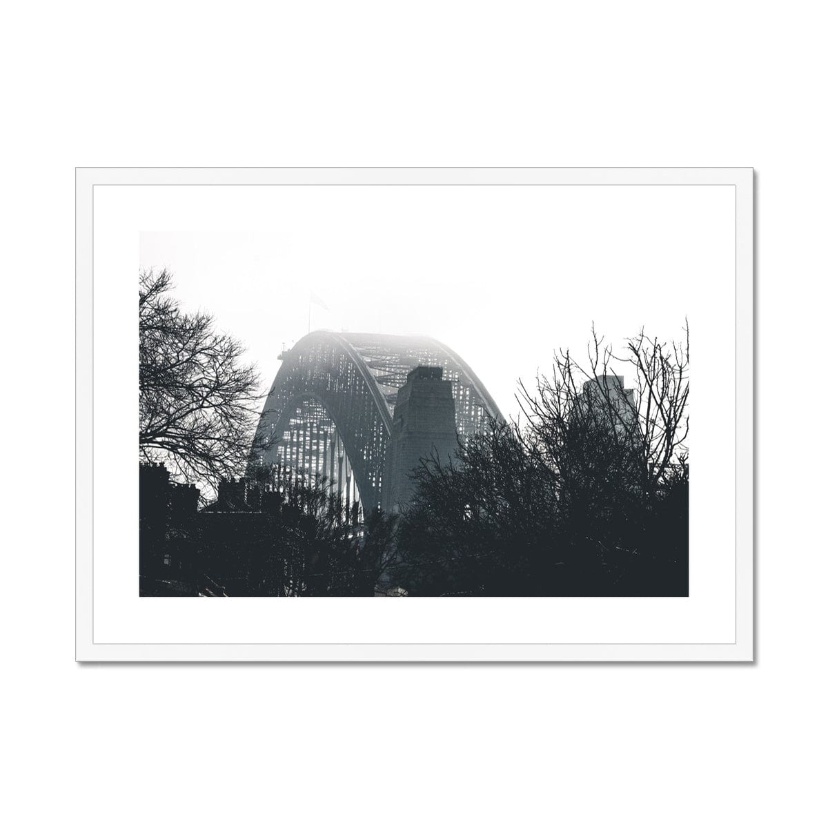 Adam Davies Framed 28"x20" / White Frame Sydney Harbour Bridge Through Trees Monochrome Framed & Mounted Print
