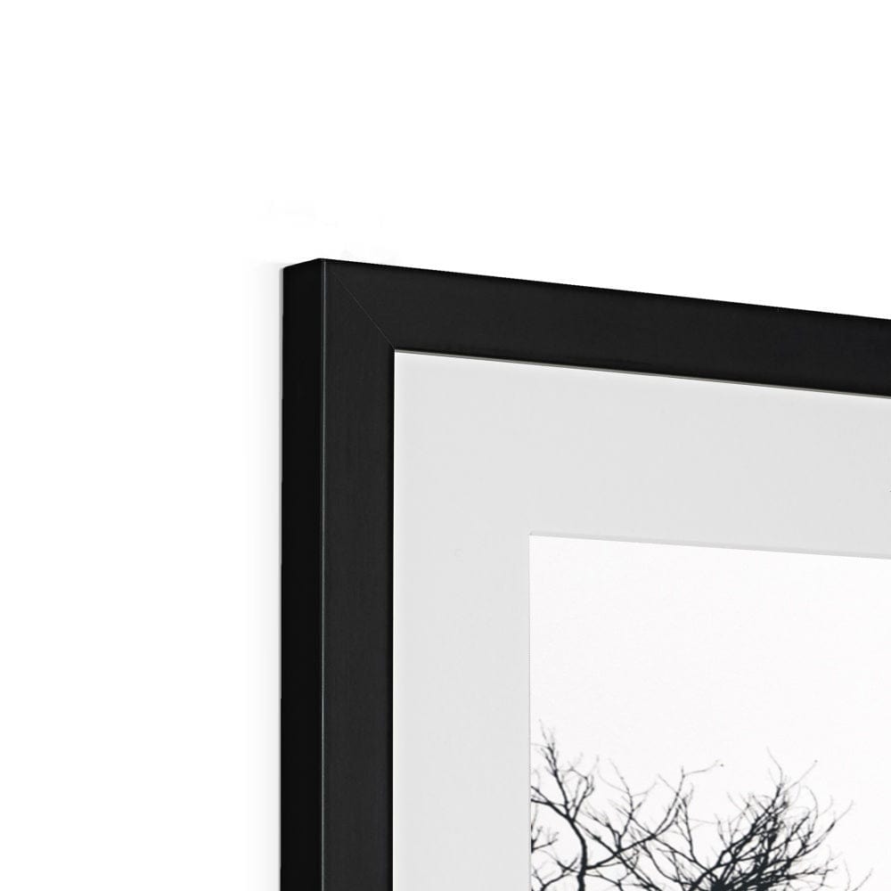 Adam Davies Framed Sydney Harbour Bridge Through Trees Monochrome Framed & Mounted Print