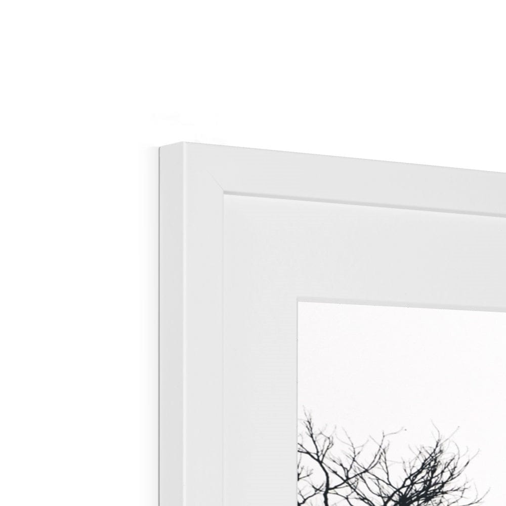 Adam Davies Framed Sydney Harbour Bridge Through Trees Monochrome Framed & Mounted Print