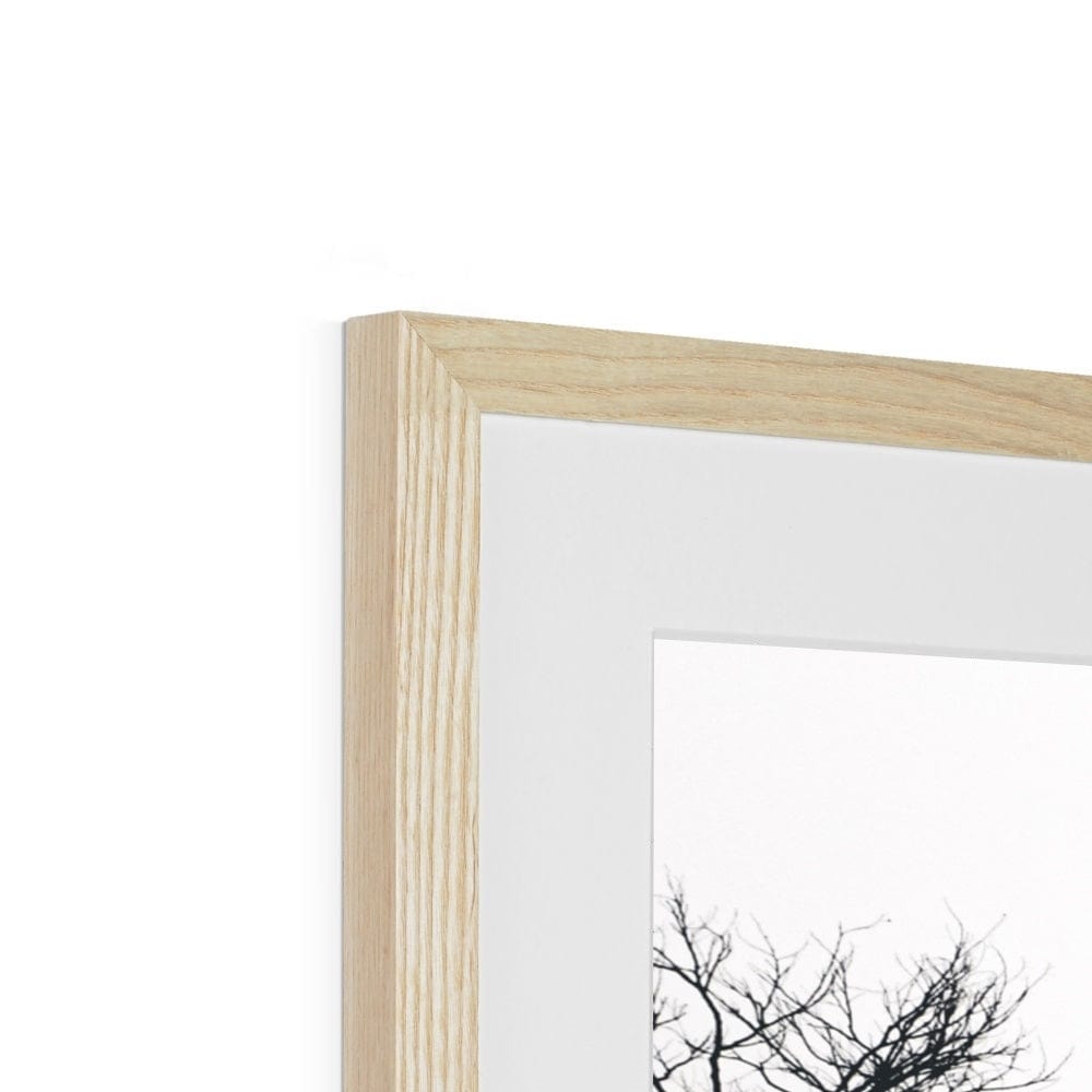 Adam Davies Framed Sydney Harbour Bridge Through Trees Monochrome Framed & Mounted Print