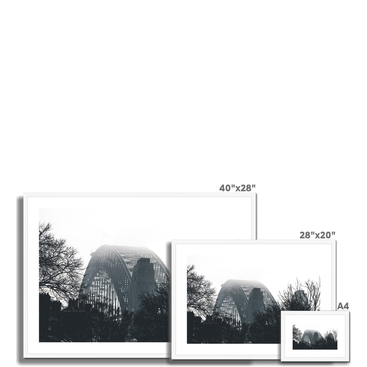 Adam Davies Framed Sydney Harbour Bridge Through Trees Monochrome Framed & Mounted Print