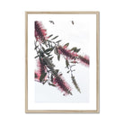 Adam Davies Framed A4 Portrait / Natural Frame Bottlebrush Flowers #2 Framed & Mounted Print