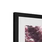 Adam Davies Framed Bottlebrush Flowers #2 Framed & Mounted Print