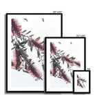 Adam Davies Framed Bottlebrush Flowers #2 Framed & Mounted Print
