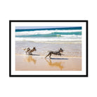 Adam Davies Framed 28"x20" (71.12x50.8cm) / Black Frame Byron Bay Dogs Framed & Mounted Print