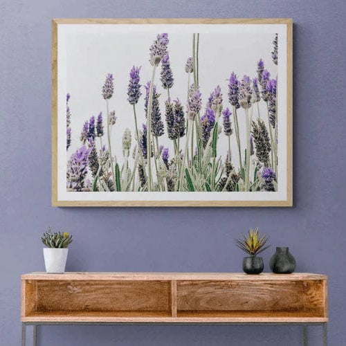 Seek & Ramble Framed Flowering Lavender Print