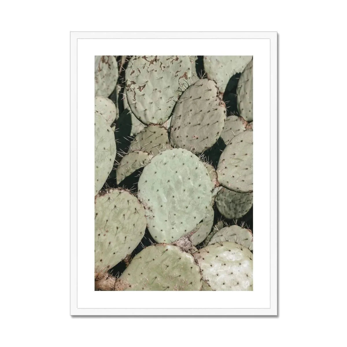 Seek & Ramble Framed Prickly Pear Cactus Framed Print