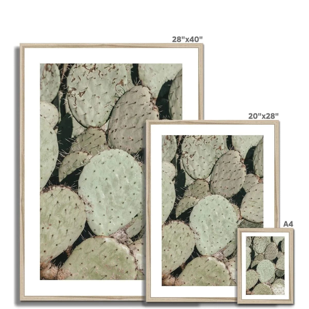 Seek & Ramble Framed Prickly Pear Cactus Framed Print
