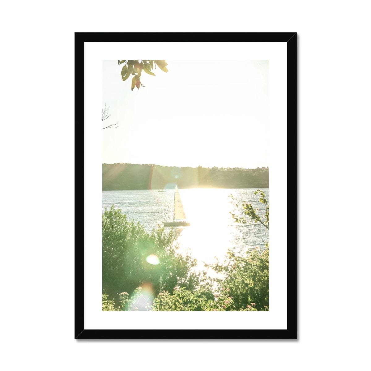 Adam Davies Framed A4 Portrait / Black Frame Sail Away Sunset Sydney Harbour Framed Print