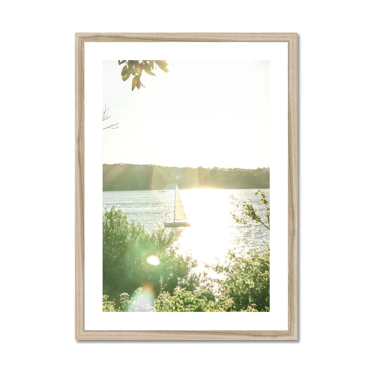 Adam Davies Framed A4 Portrait / Natural Frame Sail Away Sunset Sydney Harbour Framed Print