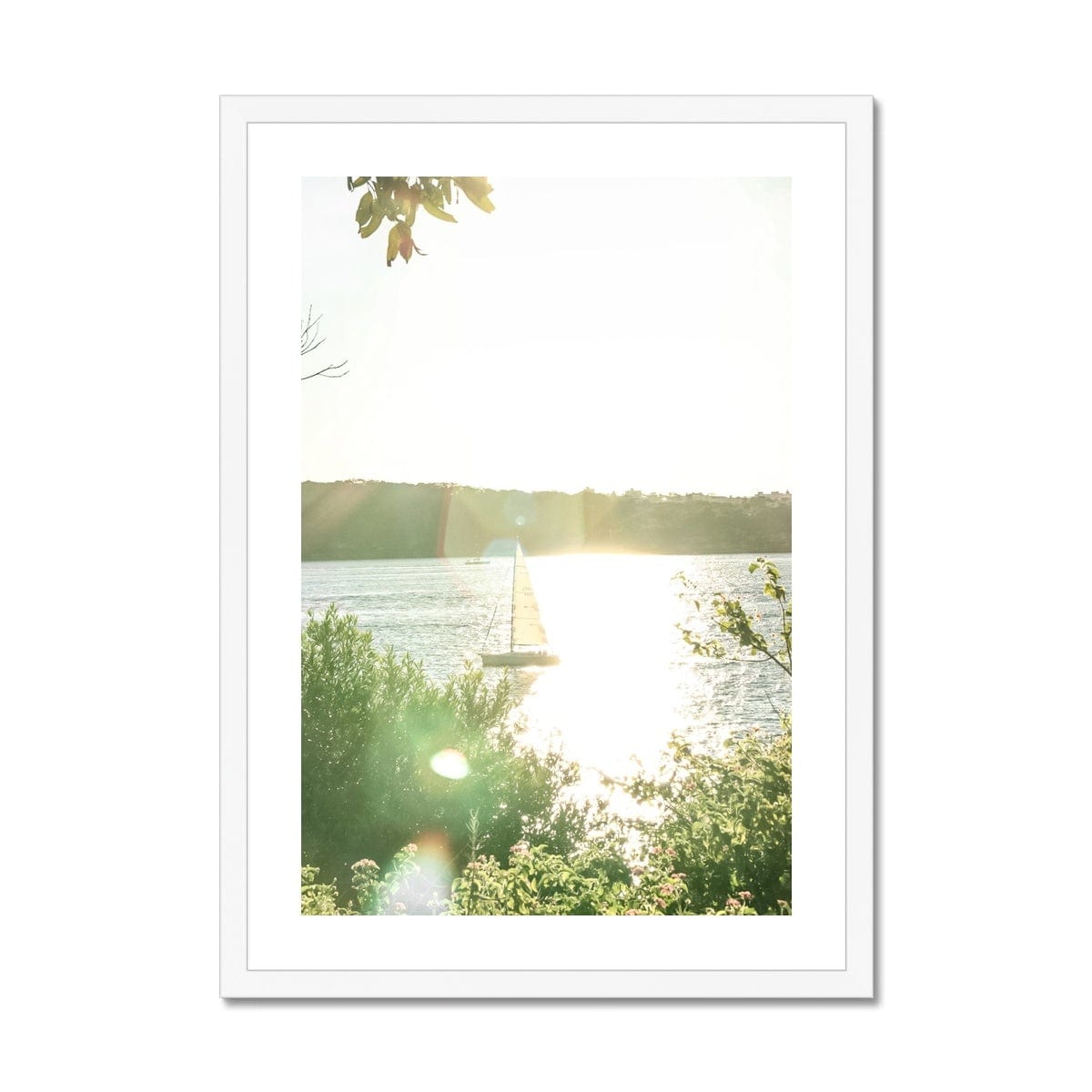Adam Davies Framed A4 Portrait / White Frame Sail Away Sunset Sydney Harbour Framed Print