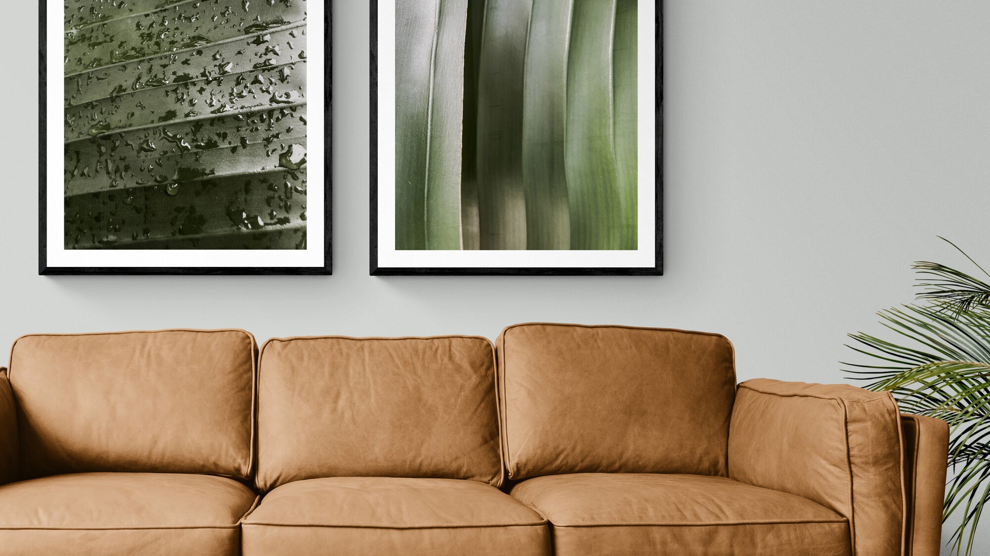 Botanical Framed Photography For Your Home Decor