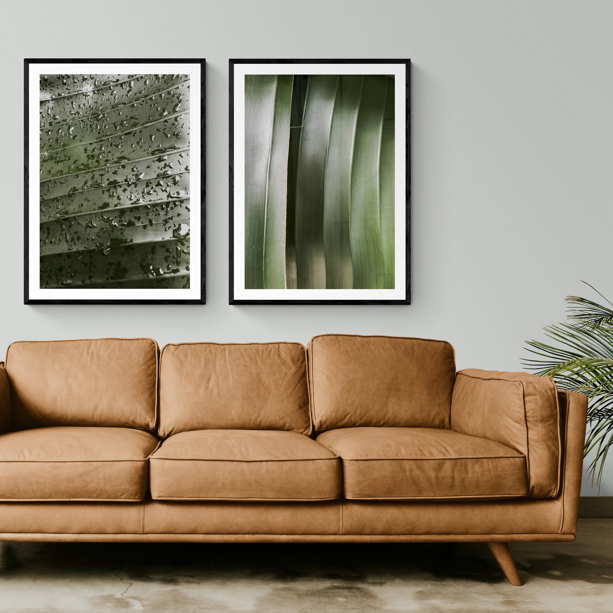 Botanical Framed Photography For Your Home Decor