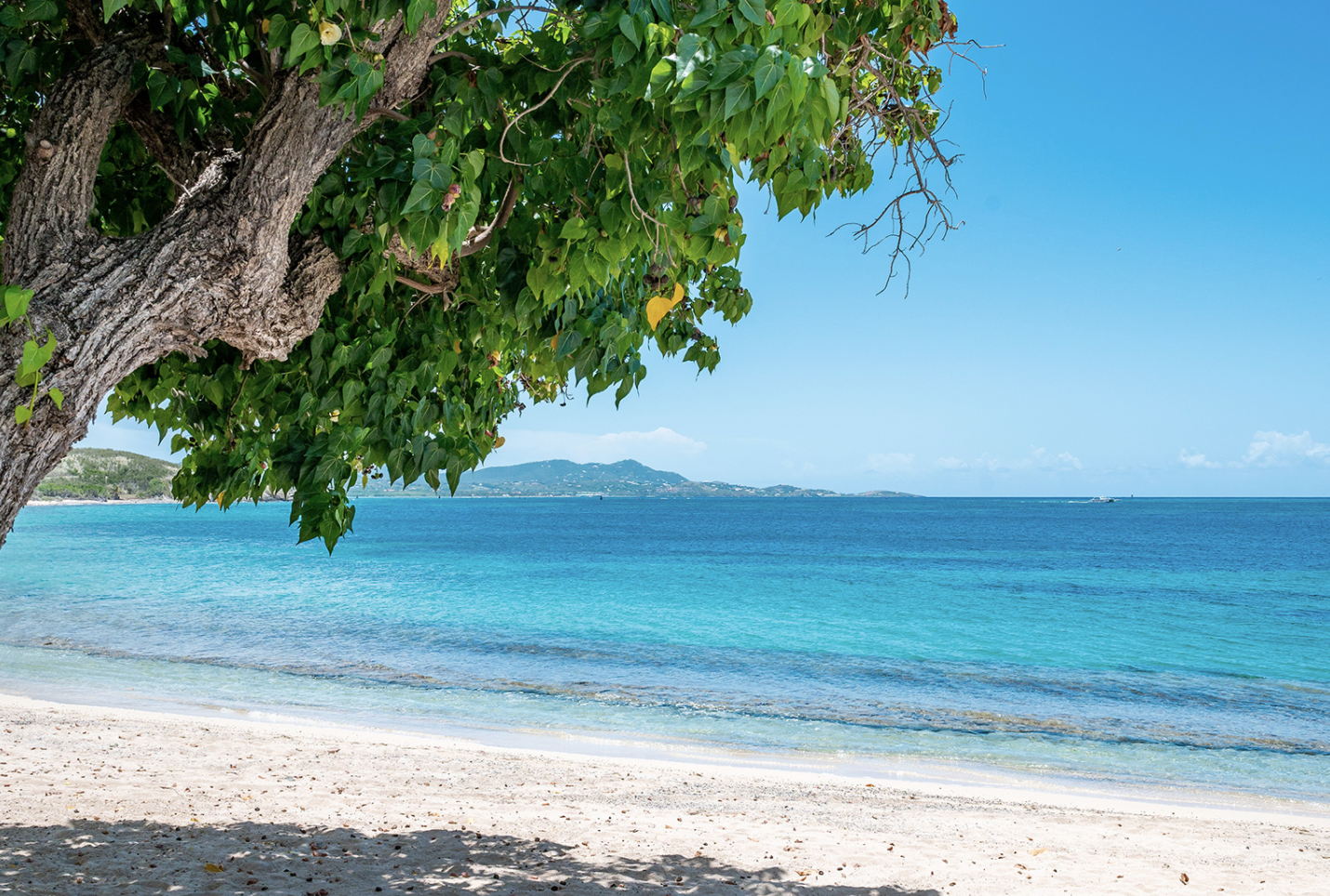 BEHIND YOU! - ZOOM IN...