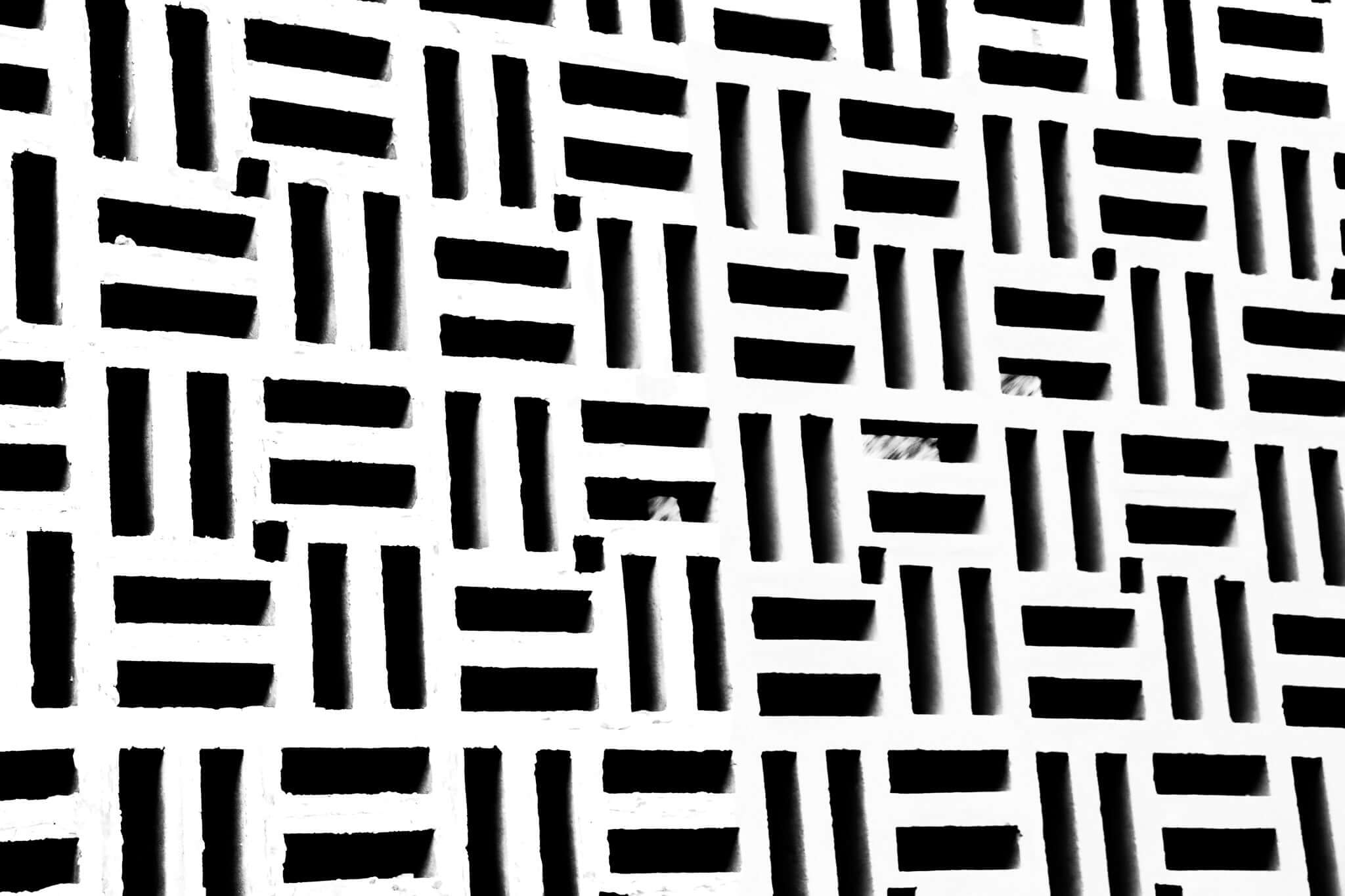 Black & White Abstract
