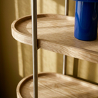 Seek & Ramble Shelving Cleo 5 Tier 165cm x 100cm Bookshelf Natural Ash & Brushed Stainless Steel