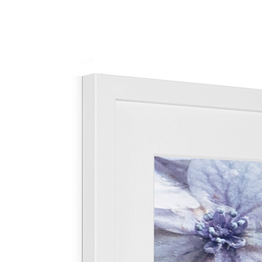 Prodigi Fine art Blue Hydrangea Framed & Mounted Print