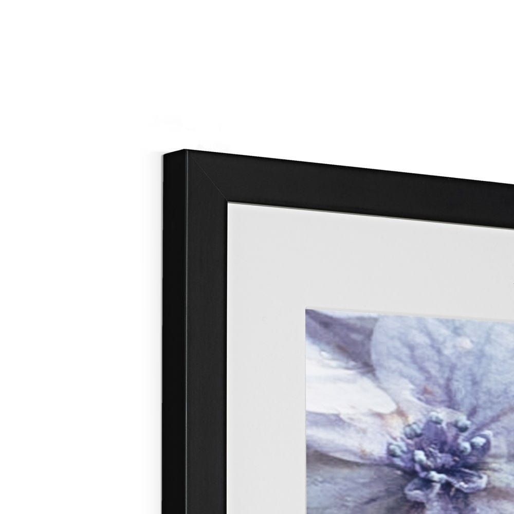Prodigi Fine art Blue Hydrangea Framed & Mounted Print