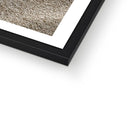 Prodigi Fine art Gucci Feet Framed Print