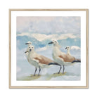 Seek & Ramble Framed 28"x28" / Natural Frame Seagulls On Blue  Framed & Mounted Print
