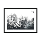 Seek & Ramble Framed 28"x20" / Black Frame Sydney Harbour Bridge Through Trees Framed & Mounted Print