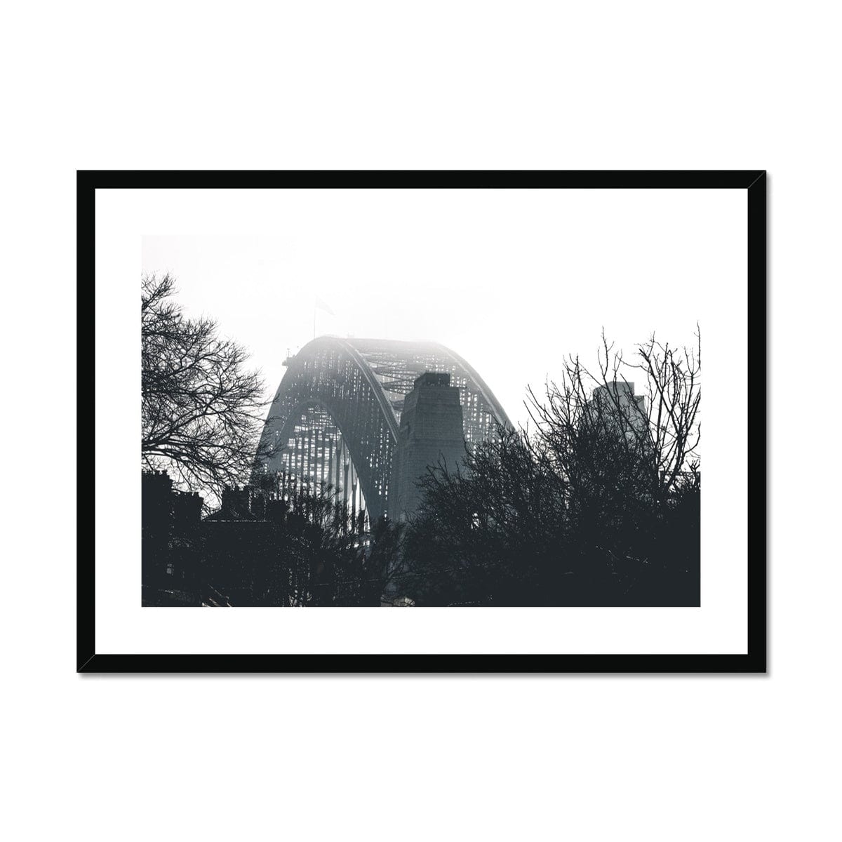 Sydney Harbour Bridge Through Trees Monochrome  Framed & Mounted Print