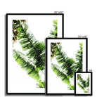 Seek & Ramble Framed Banana Leaf Framed Print