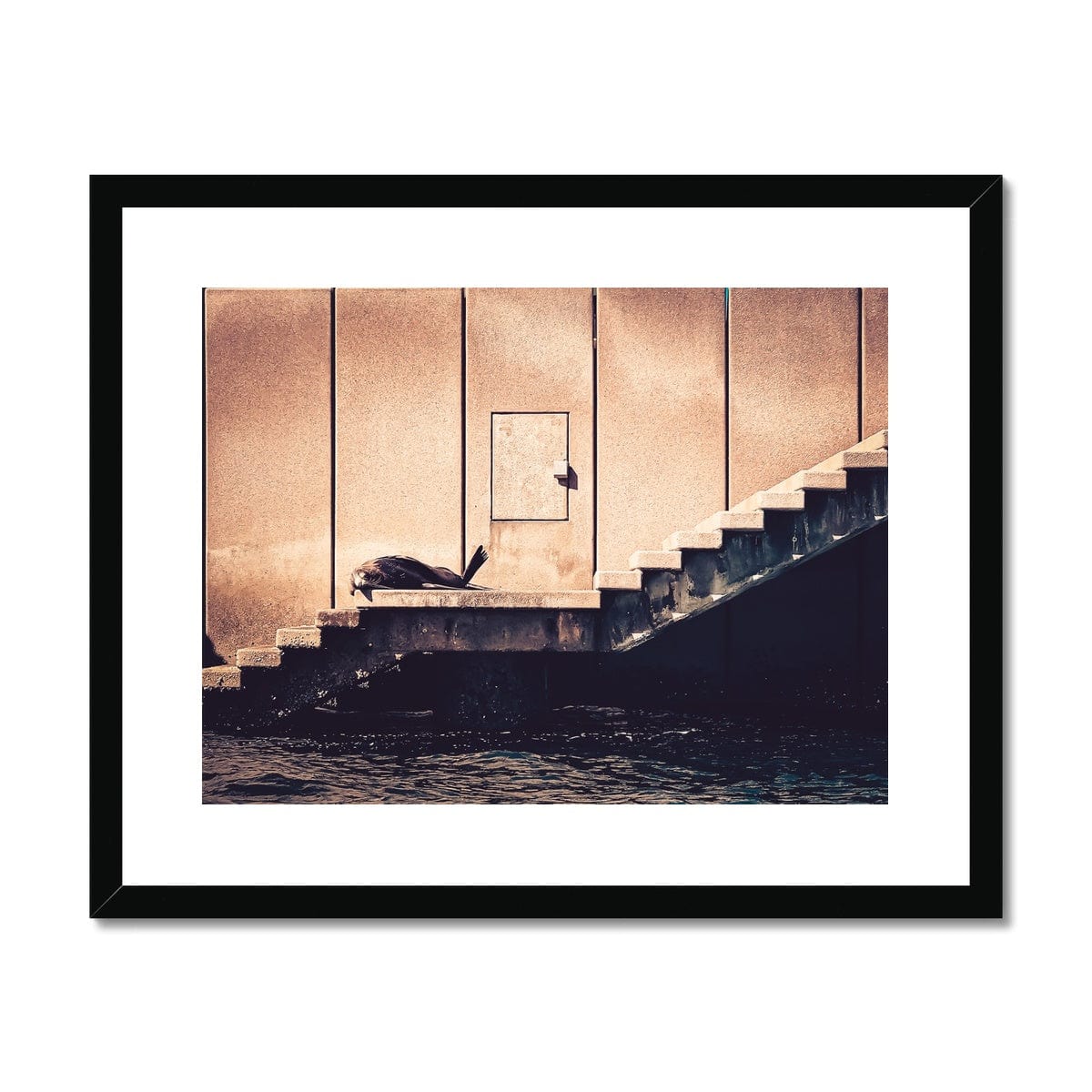 Adam Davies Framed A4 Landscape (29x21cm) / Black Frame Benny The Seal On The Opera House Steps Framed & Mounted Print