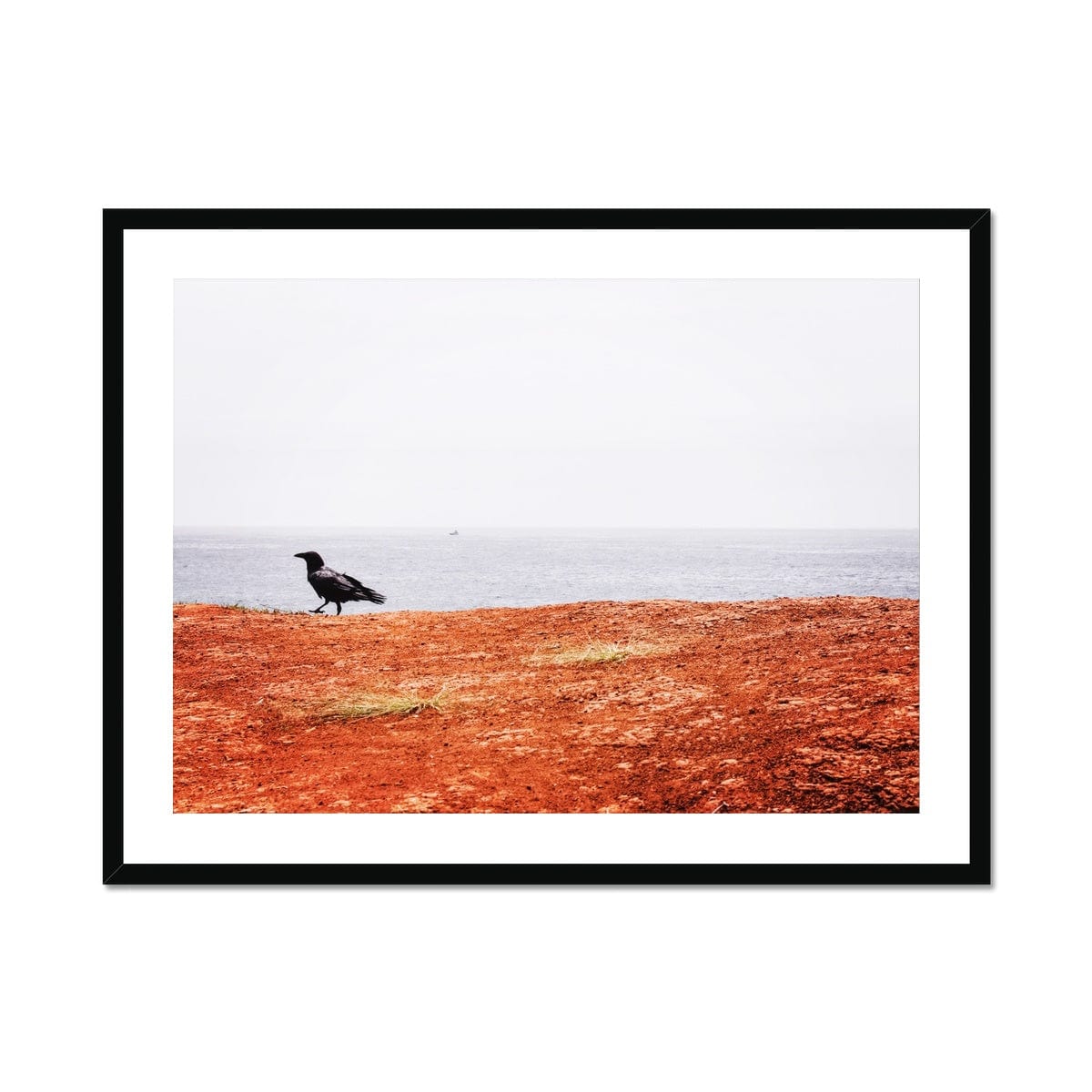 Adam Davies Framed 24"x18" (60.96x45.72cm) / Black Frame Black Crow Framed & Mounted Print