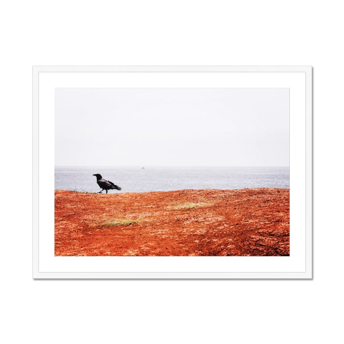 Adam Davies Framed 24"x18" (60.96x45.72cm) / White Frame Black Crow Framed & Mounted Print