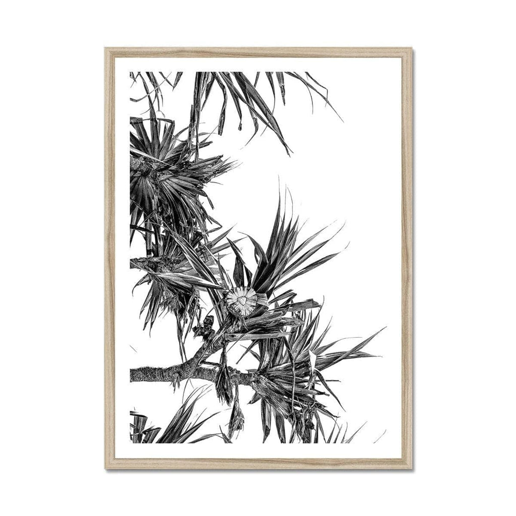 SeekandRamble Framed 20"x28" / Natural Frame Black & White Pandanus Framed Print
