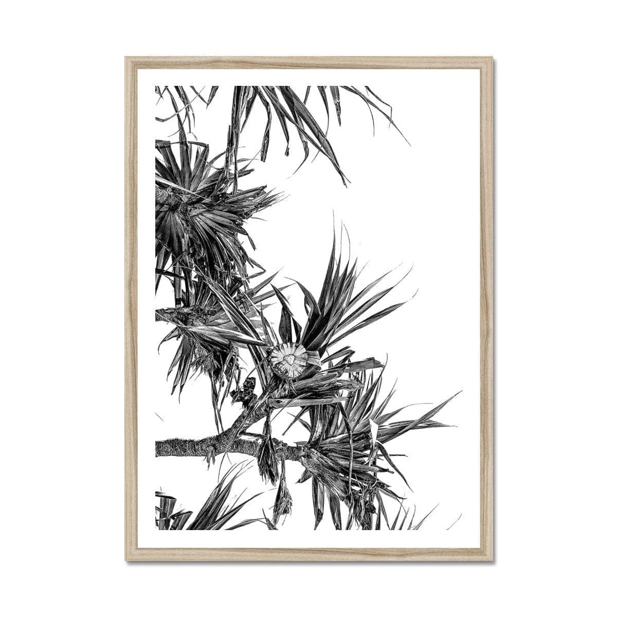 Adam Davies Framed A4 Portrait / Natural Frame Black & White Pandanus Framed Print