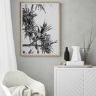 Adam Davies Framed Black & White Pandanus Framed Print