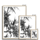 Adam Davies Framed Black & White Pandanus Framed Print