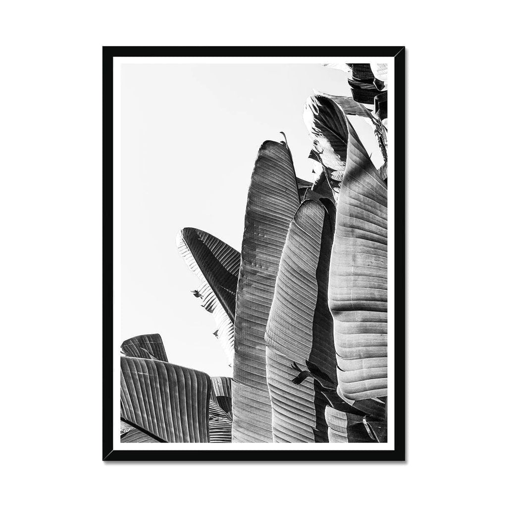Seek & Ramble Framed A4 Portrait / Black Frame Black & White Travellers Palm Print