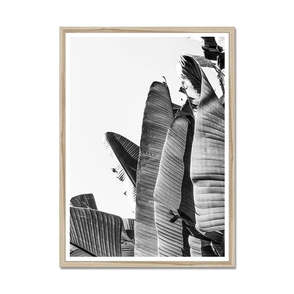 Seek & Ramble Framed A4 Portrait / Natural Frame Black & White Travellers Palm Print