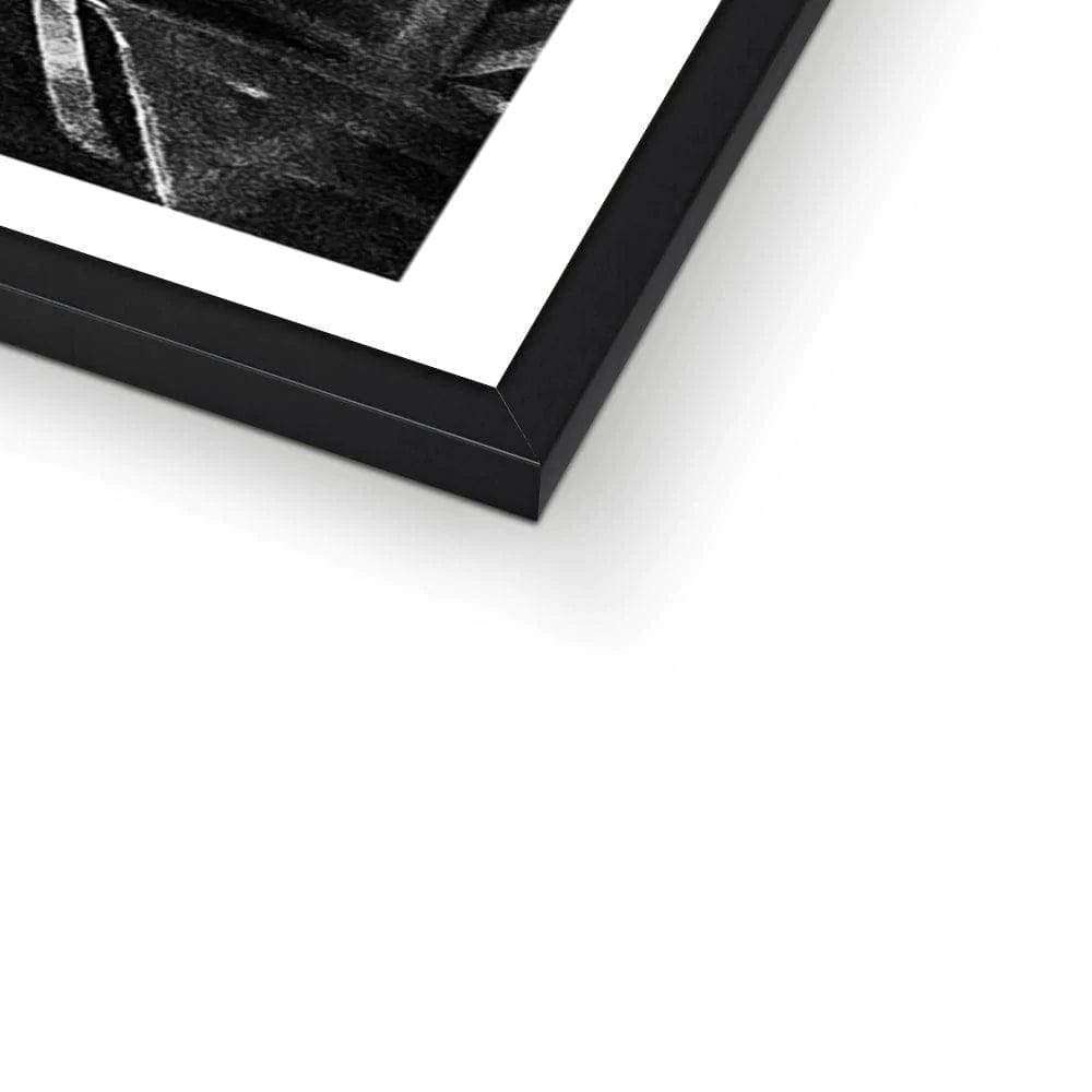 SeekandRamble Framed Black & White Travellers Palm Print