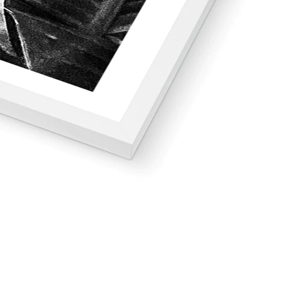 SeekandRamble Framed Black & White Travellers Palm Print