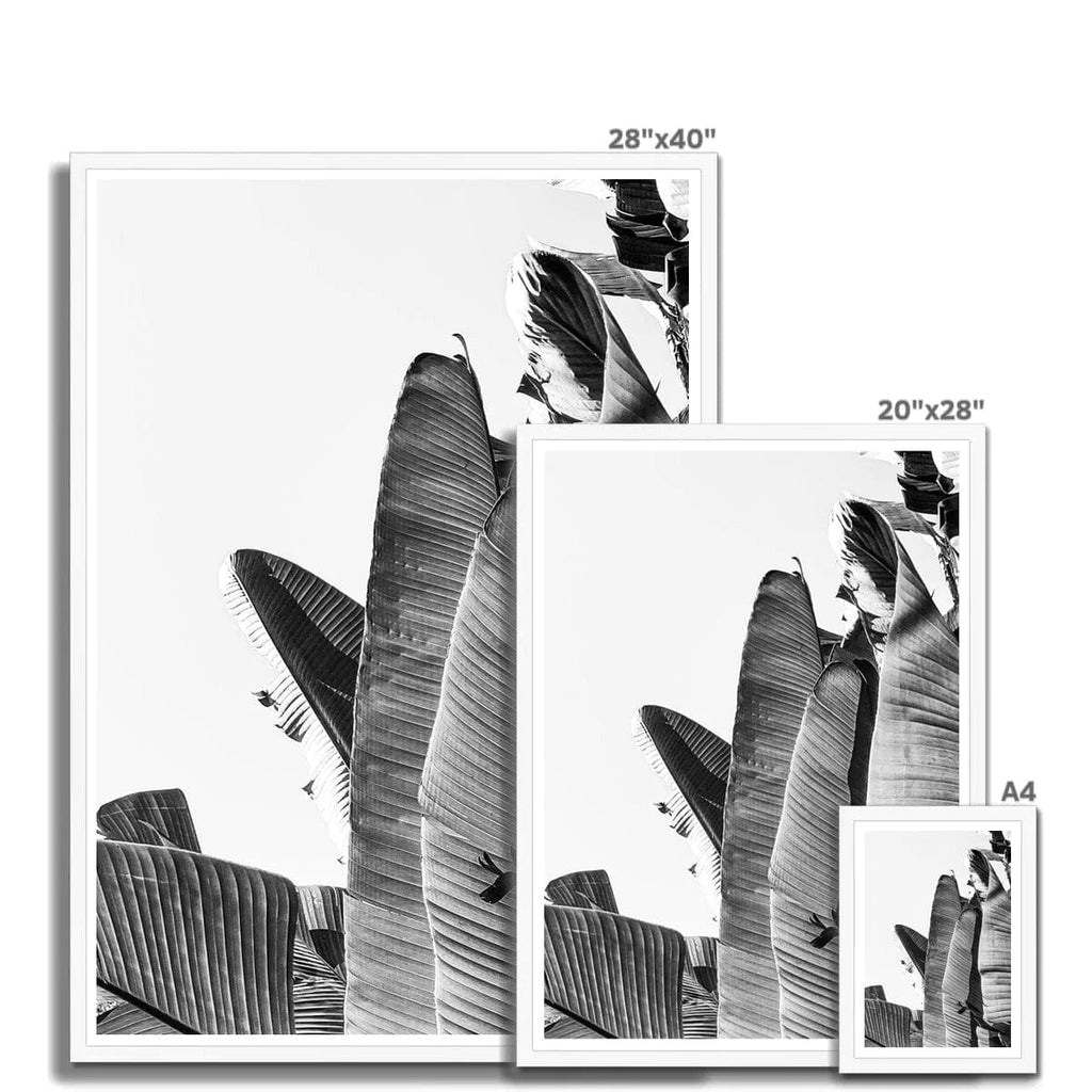 Seek & Ramble Framed Black & White Travellers Palm Print