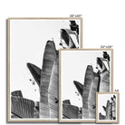 Seek & Ramble Framed Black & White Travellers Palm Print