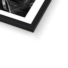 Seek & Ramble Framed Black & White Travellers Palm Print