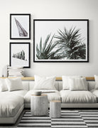 Seek & Ramble Framed Black & White Yucca Plant Print