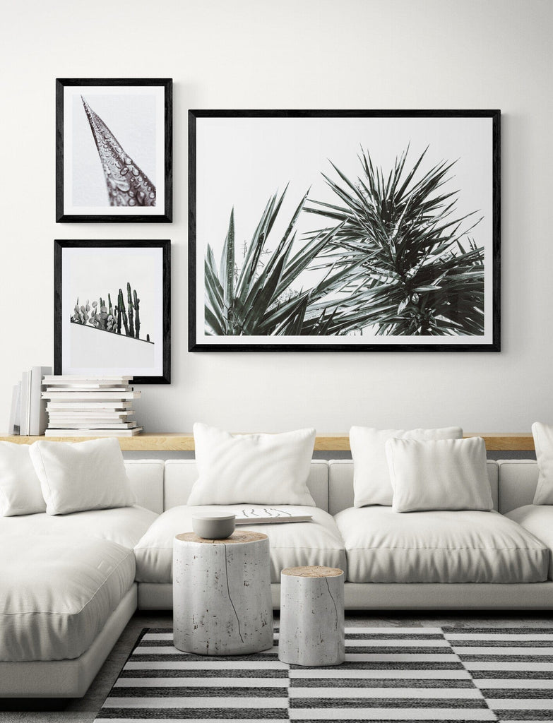 SeekandRamble Framed Black & White Yucca Plant Print