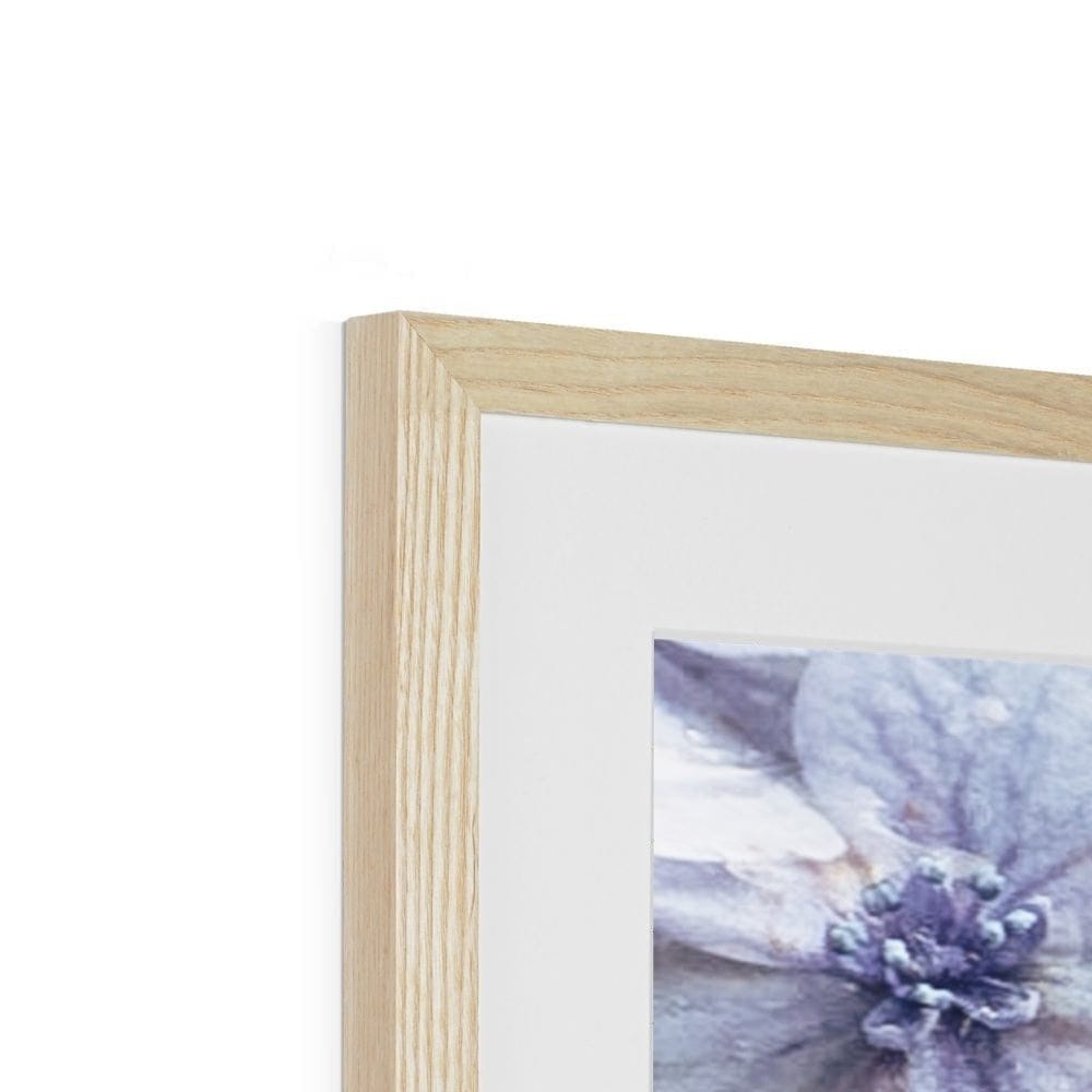 Seek & Ramble Framed Blue Hydrangea Framed & Mounted Print