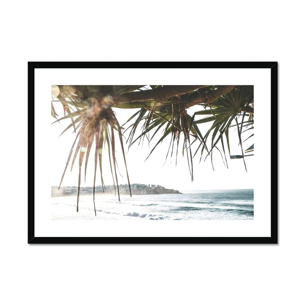 SeekandRamble Framed 16"x12" / Black Frame Bondi Beach Palms Framed & Mounted Print